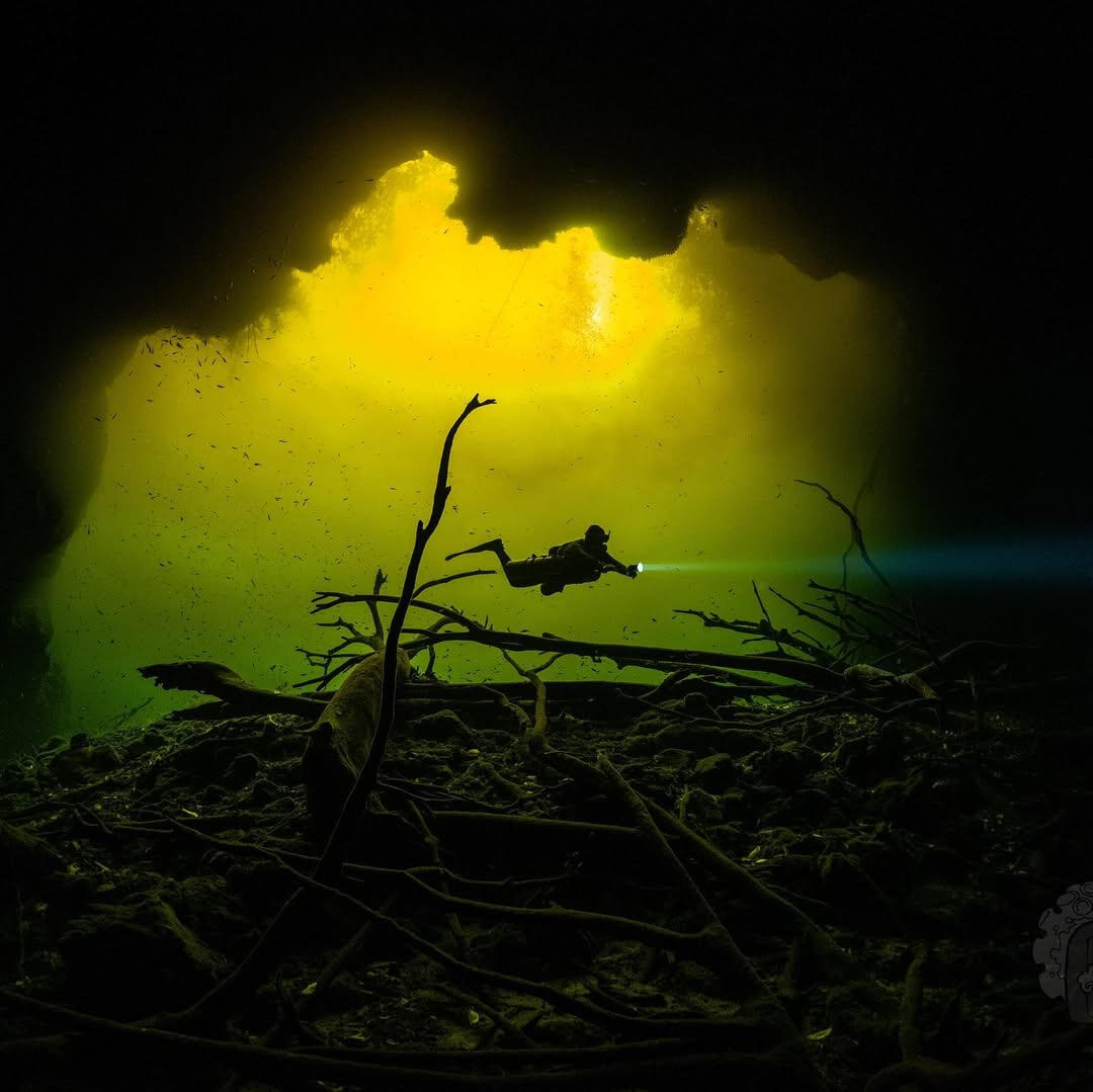 After heavy rains some cenotes in Mexico change color due to increased tannins in the water